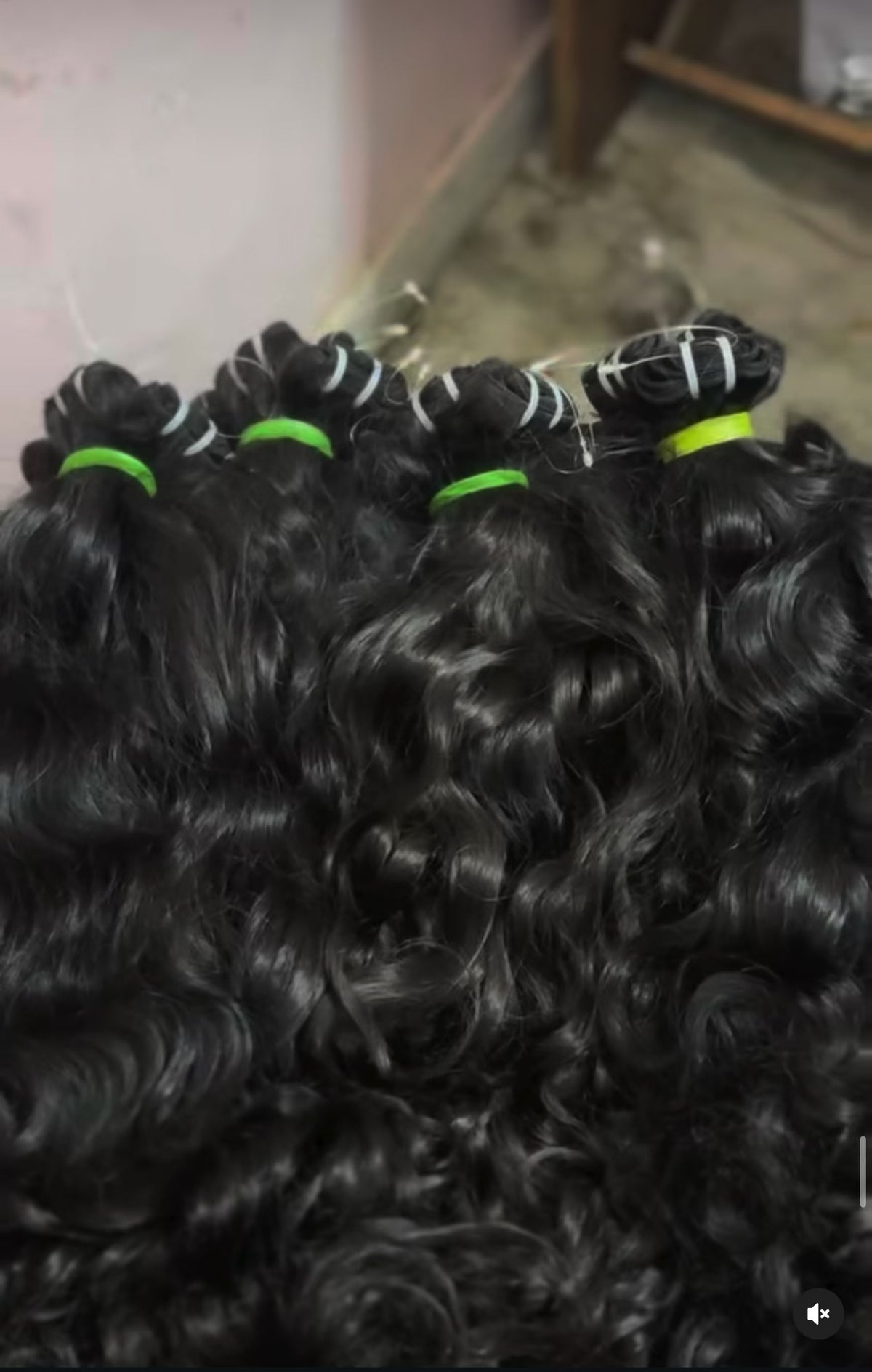 Burmese curl